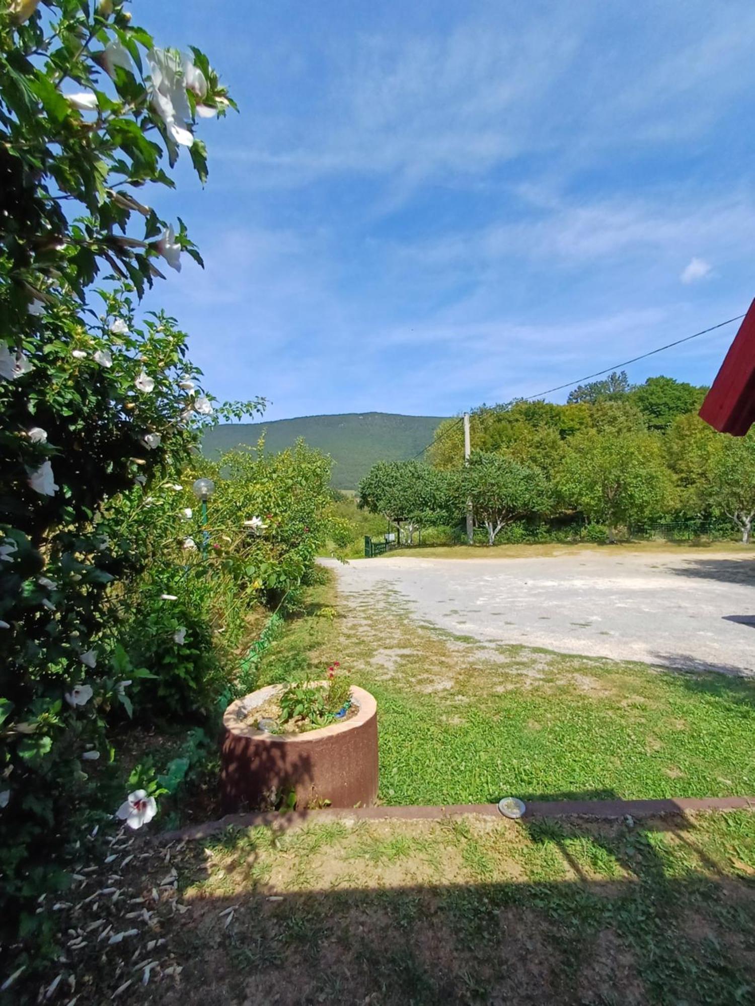 Denis Apartmán Luzine